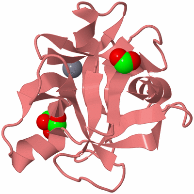 Image Biological Unit 8