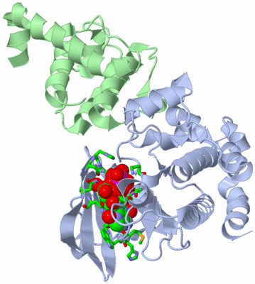 Image Asym./Biol. Unit - sites