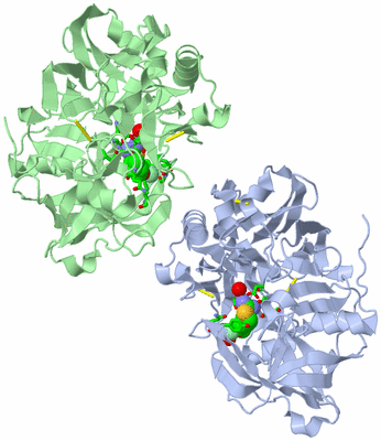 Image Biol. Unit 1 - sites