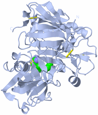 Image Biological Unit 2