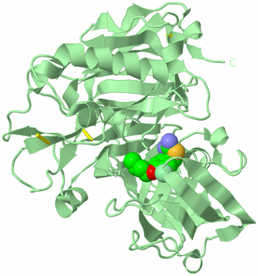 Image Biological Unit 3