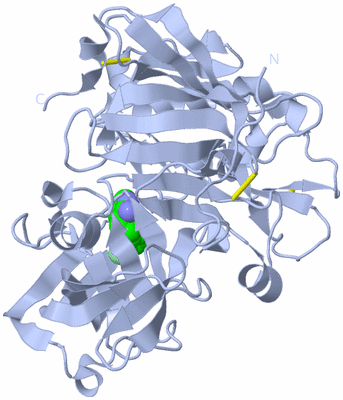 Image Biological Unit 2