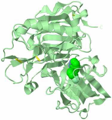 Image Biological Unit 3