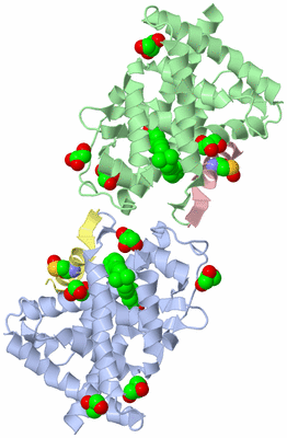 Image Biological Unit 1