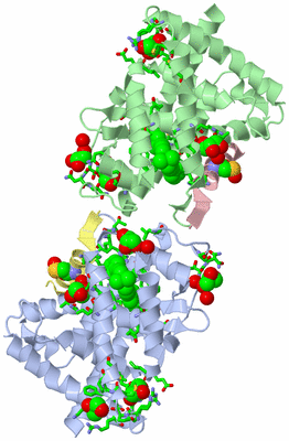 Image Biol. Unit 1 - sites