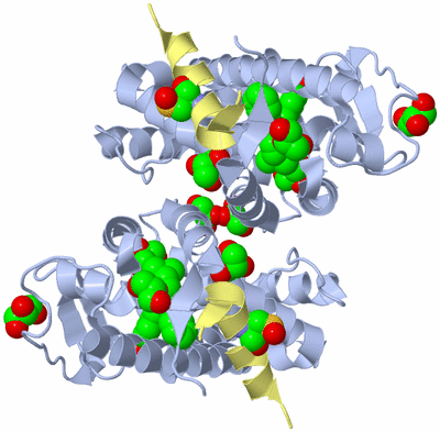 Image Biological Unit 3