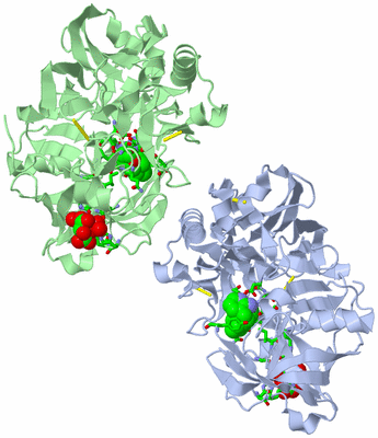 Image Biol. Unit 1 - sites