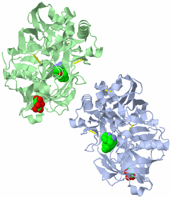 Image Biological Unit 3