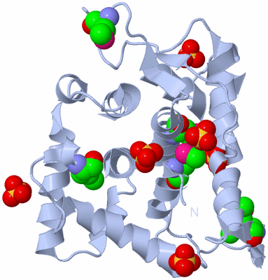 Image Biological Unit 1