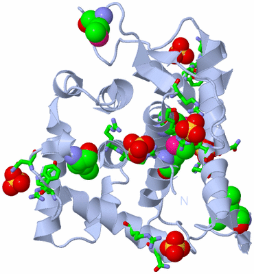 Image Biol. Unit 1 - sites