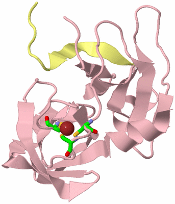 Image Biol. Unit 1 - sites