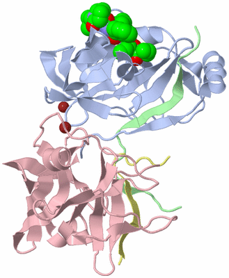 Image Biological Unit 3