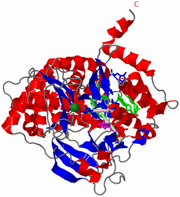 Image Asym./Biol. Unit