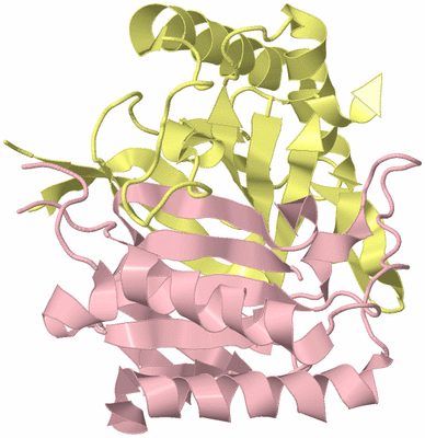 Image Biological Unit 2