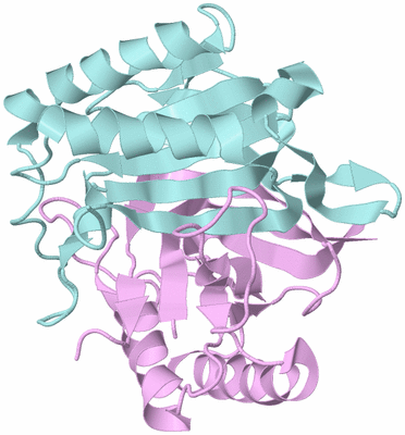 Image Biological Unit 3