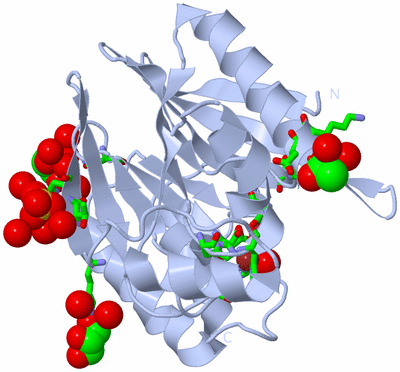 Image Biol. Unit 1 - sites