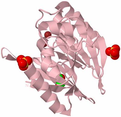 Image Biological Unit 3