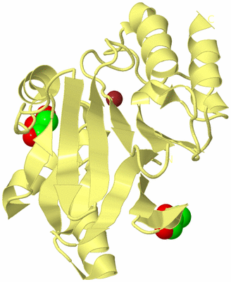 Image Biological Unit 4