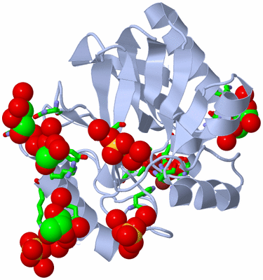 Image Biol. Unit 1 - sites