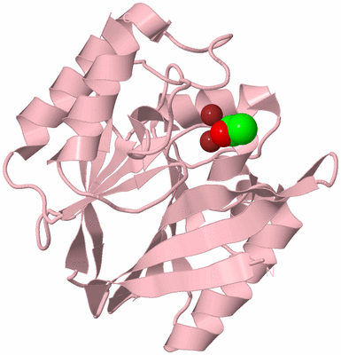 Image Biological Unit 3