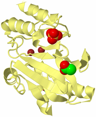 Image Biological Unit 4