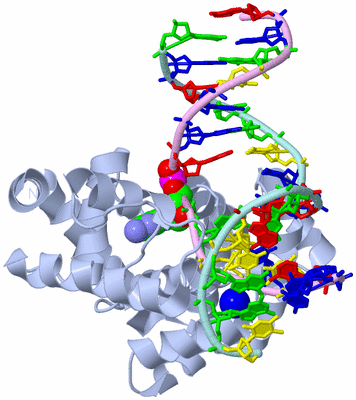 Image Biological Unit 2