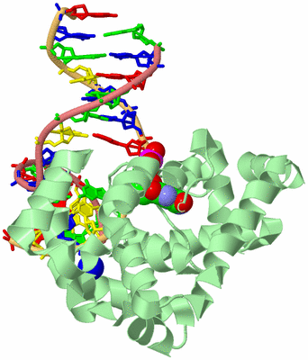 Image Biological Unit 3