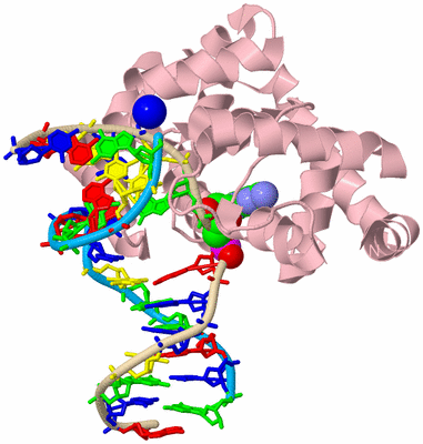 Image Biological Unit 4