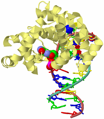 Image Biological Unit 5