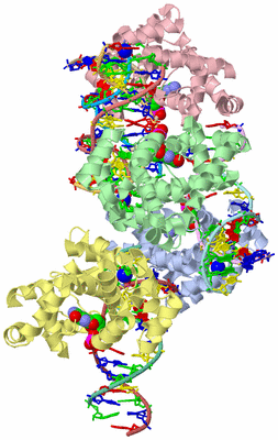 Image Asym. Unit - sites