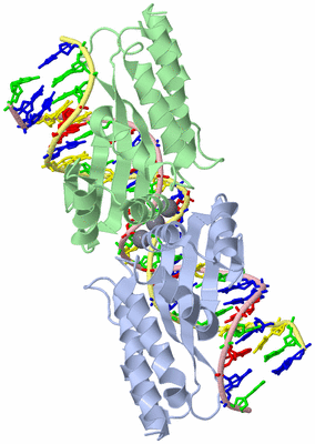 Image Biological Unit 1