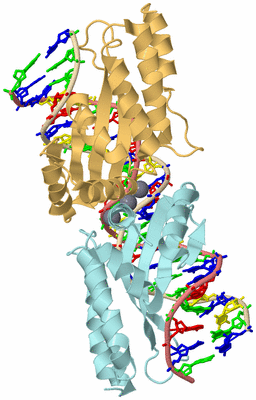 Image Biological Unit 2