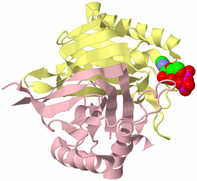 Image Biological Unit 2