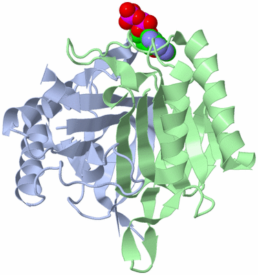 Image Biological Unit 1