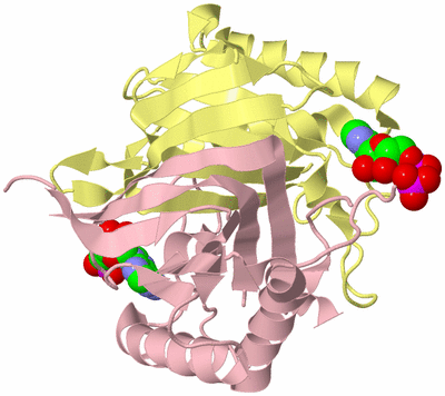 Image Biological Unit 2