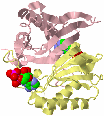 Image Biological Unit 2