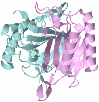 Image Biological Unit 3