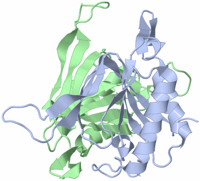 Image Biological Unit 1