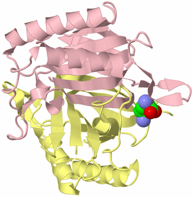 Image Biological Unit 2