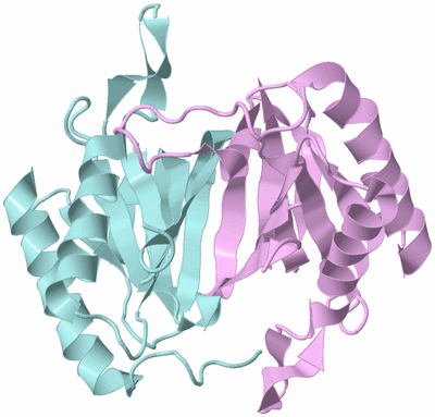 Image Biological Unit 3