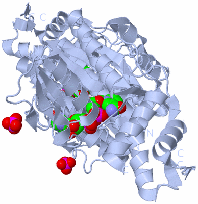 Image Biological Unit 1