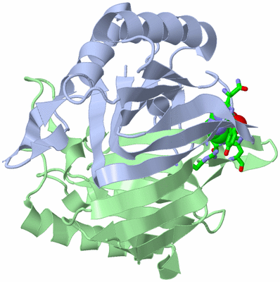 Image Biol. Unit 1 - sites