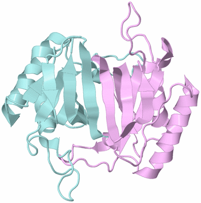 Image Biological Unit 3