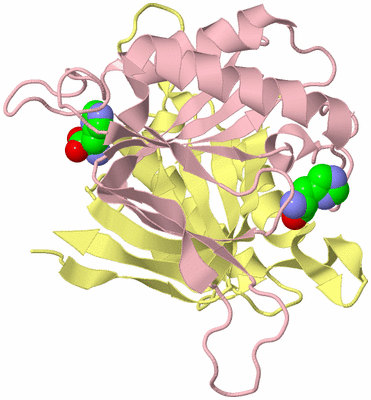 Image Biological Unit 2