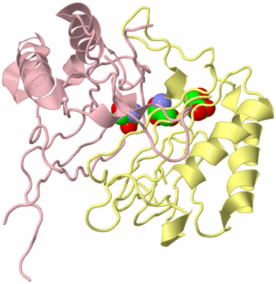 Image Biological Unit 2