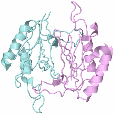 Image Biological Unit 3