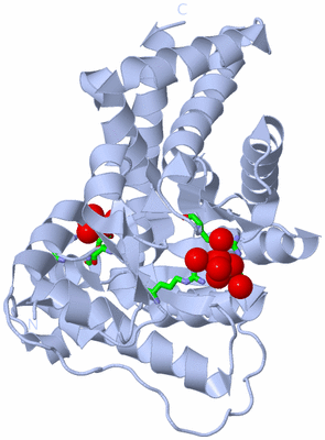 Image Biol. Unit 1 - sites