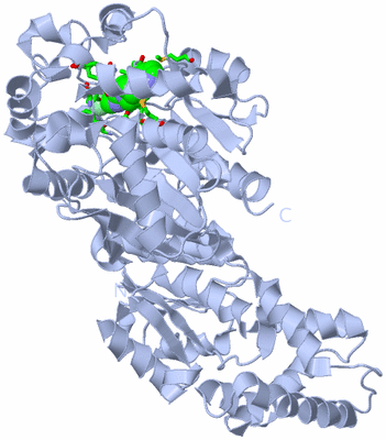 Image Biol. Unit 1 - sites