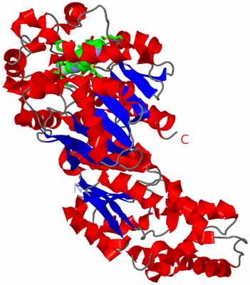 Image Asym. Unit - sites