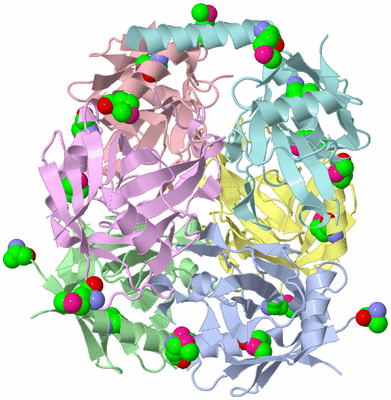 Image Asym./Biol. Unit